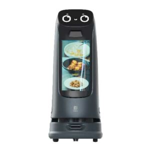 robot de livrare KettyBot Pro, robot ospătar, robot cu afișaj publicitar, robot promotor intelligent, robot HoReCa, robot pentru restaurant, toreco, md