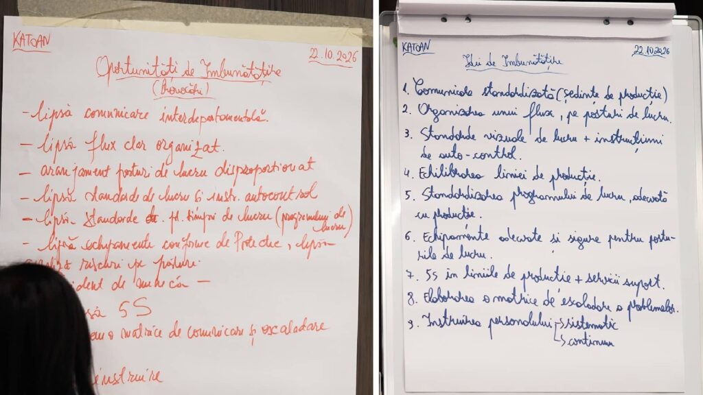 de ce standardizarea poate reduce costurile ascunse din producție.